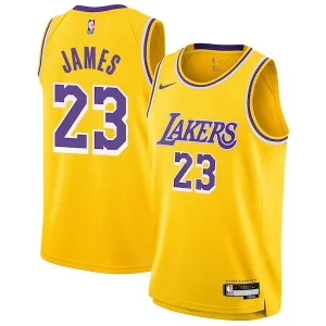 Encantador LeBron James Los Angeles Lakers Nike Youth Swingman Jersey Icon Edition Gold